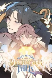 Wait Where the Shooting Star Falls