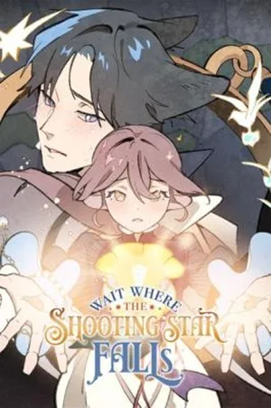 Wait Where the Shooting Star Falls